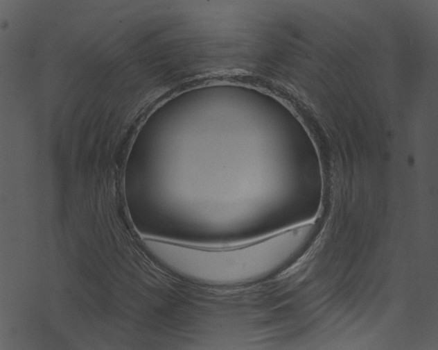 X0000074261257200608250851