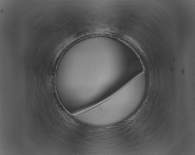 X0000074261260200608250851