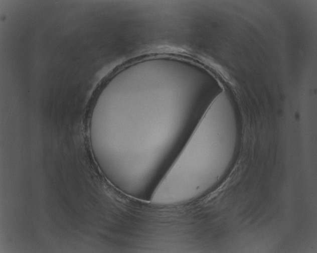 X0000074261264200608250851