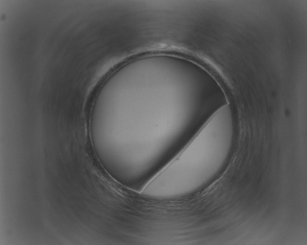 X0000074261270200608250851