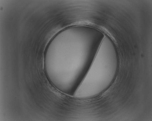 X0000074261276200608250851
