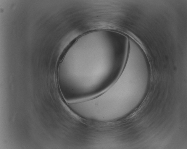 X0000074261293200608250850