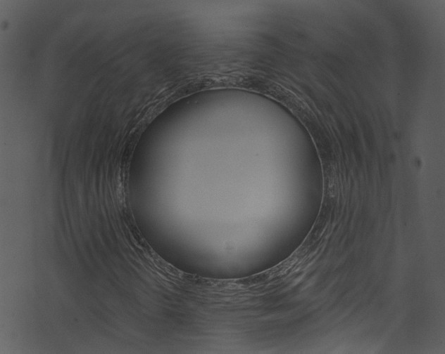 X0000074261298200608250850