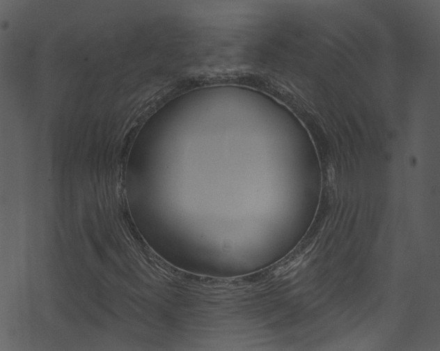 X0000074261300200608250850