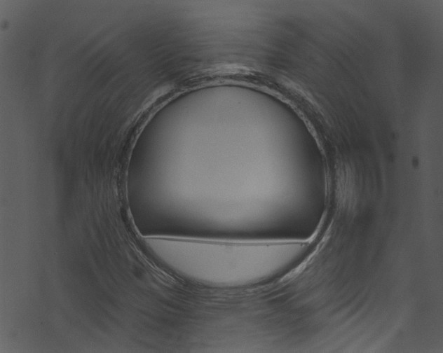 X0000074261305200608250850