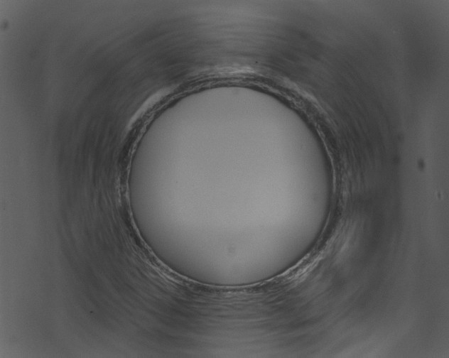 X0000074261306200608250850
