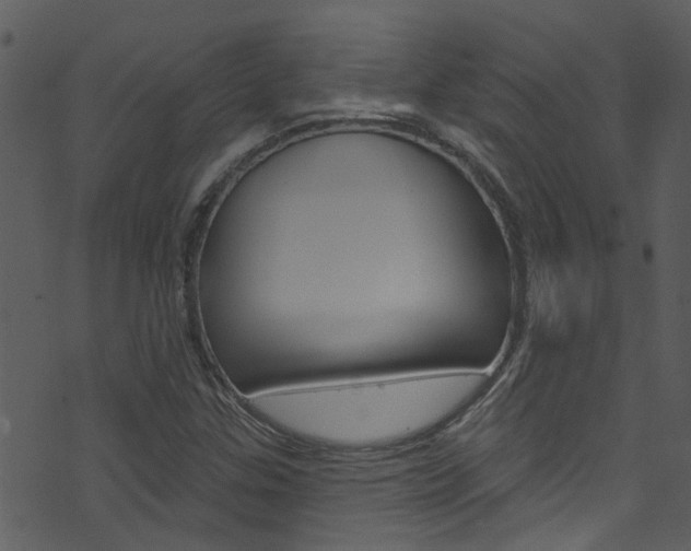 X0000074261307200608250850