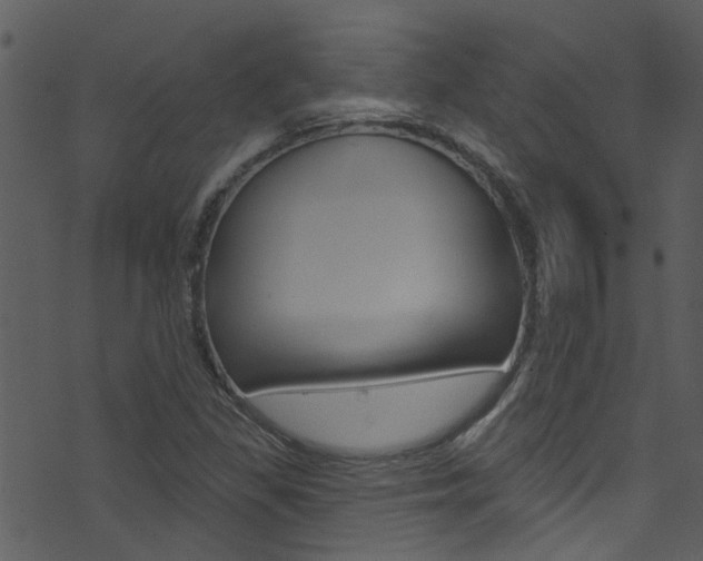 X0000074261309200608250850