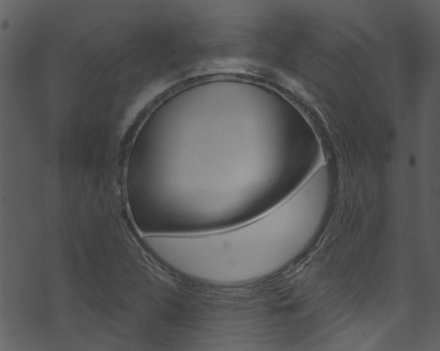 X0000074261312200608250850