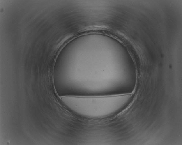X0000074261313200608250850