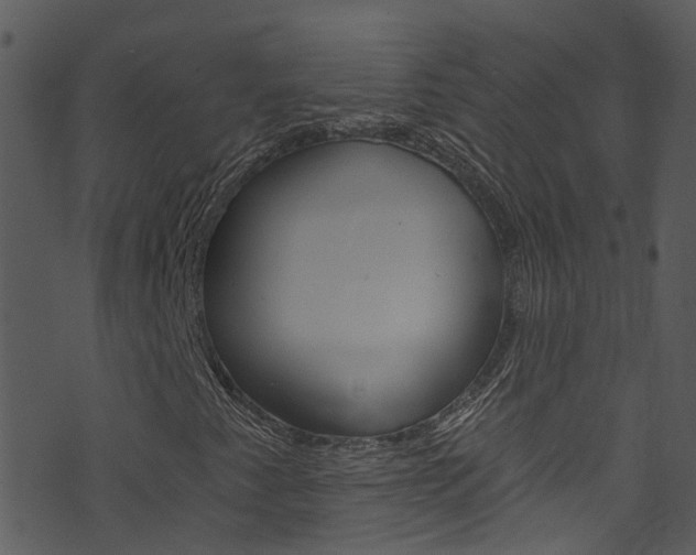 X0000074261345200608250850