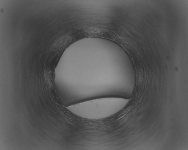 X0000074261346200608250850