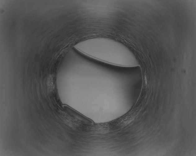 X0000074261347200608250850