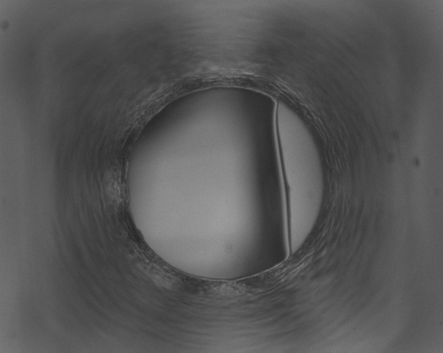 X0000074261348200608250849