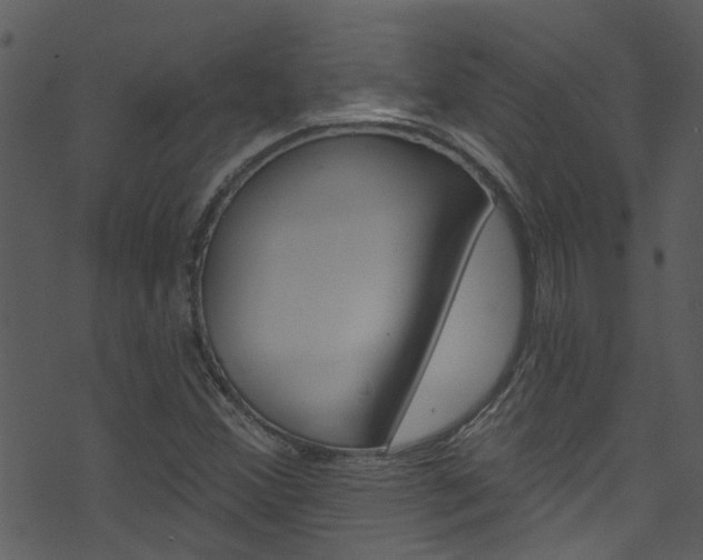 X0000074261356200608250849