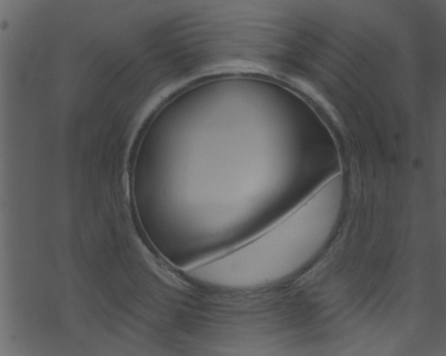 X0000074261372200608250849