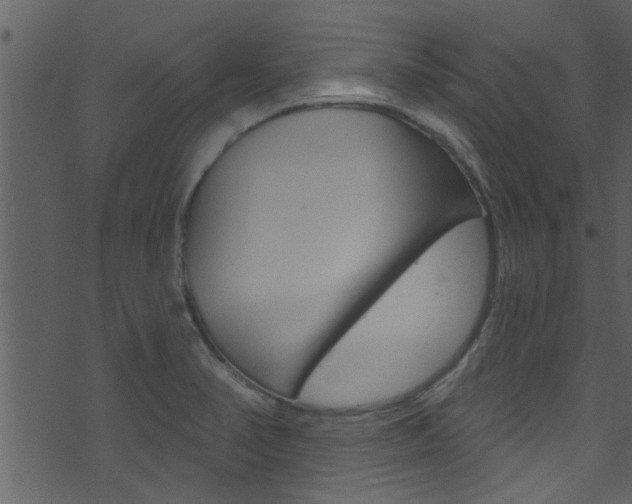 X0000074261374200608250849