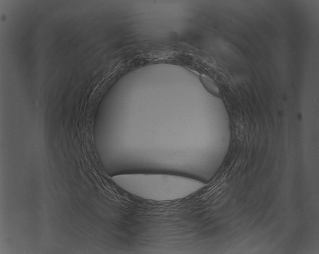 X0000074261393200608250848