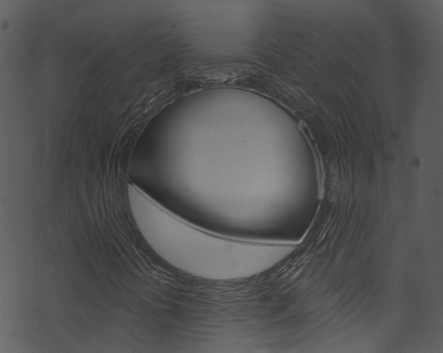 X0000074261394200608250848
