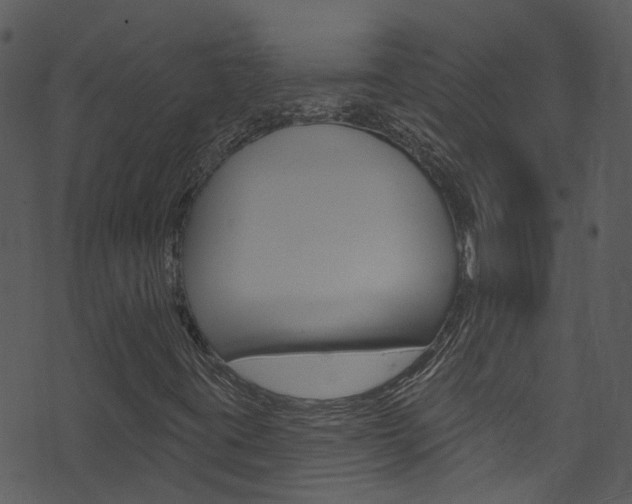 X0000074261395200608250848