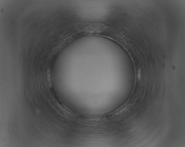 X0000074261396200608250848