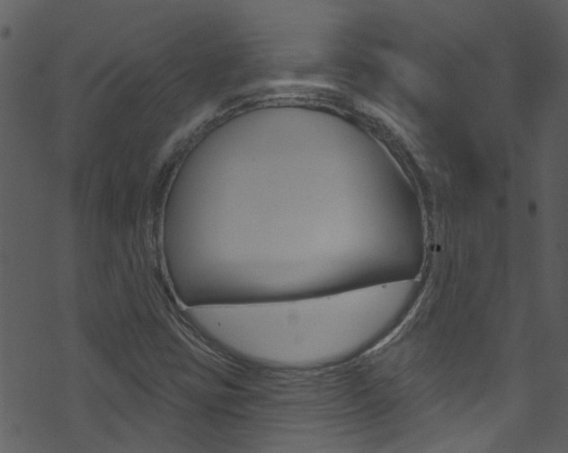 X0000074261403200608250848
