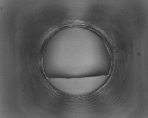 X0000074261407200608250848
