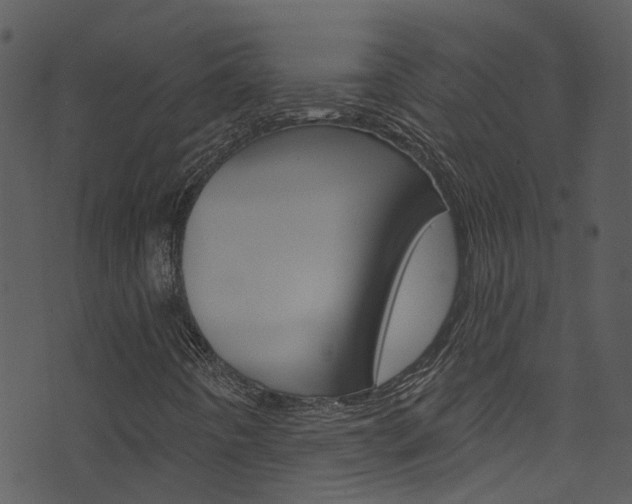 X0000074261442200608250848