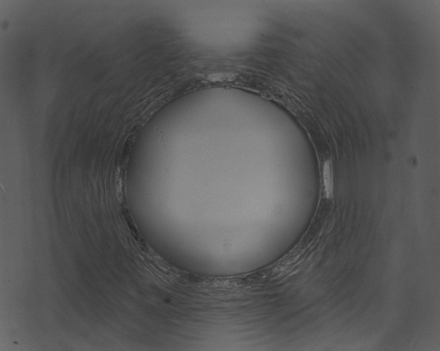 X0000074261443200608250848