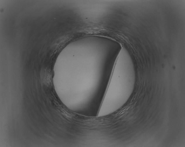 X0000074261444200608250848