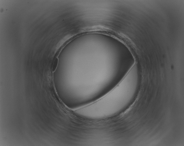 X0000074261457200608250848