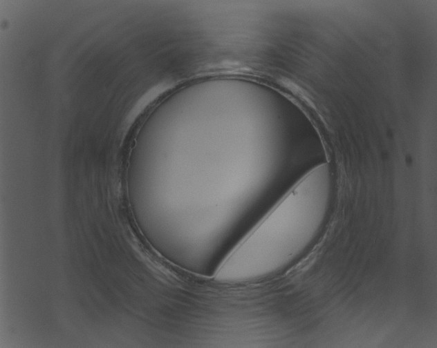 X0000074261458200608250848