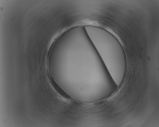 X0000074261477200608250847