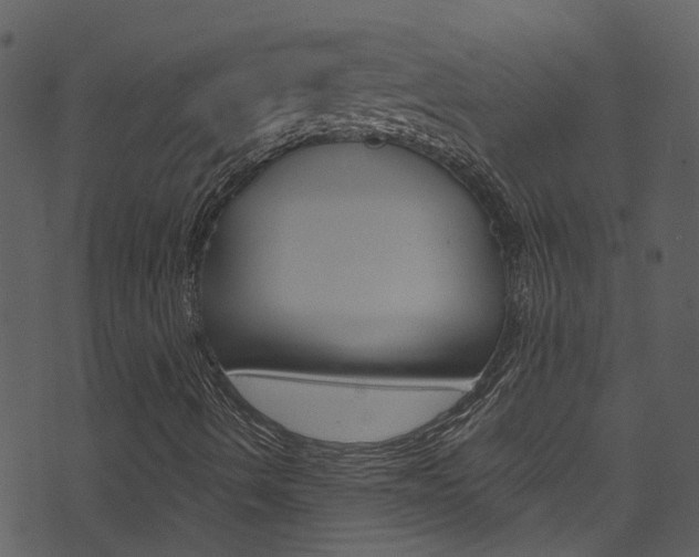 X0000074261490200608250846