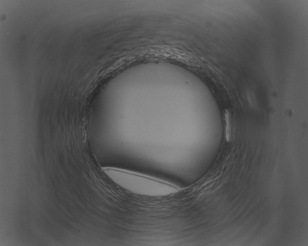 X0000074261491200608250846
