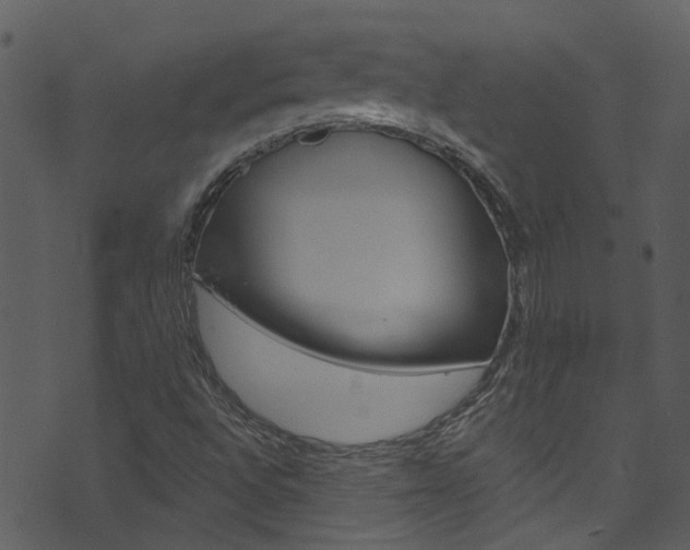 X0000074261496200608250847