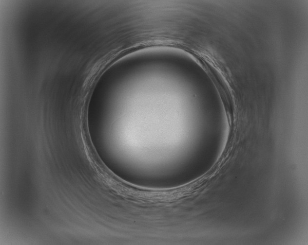 X0000074260001200608251238