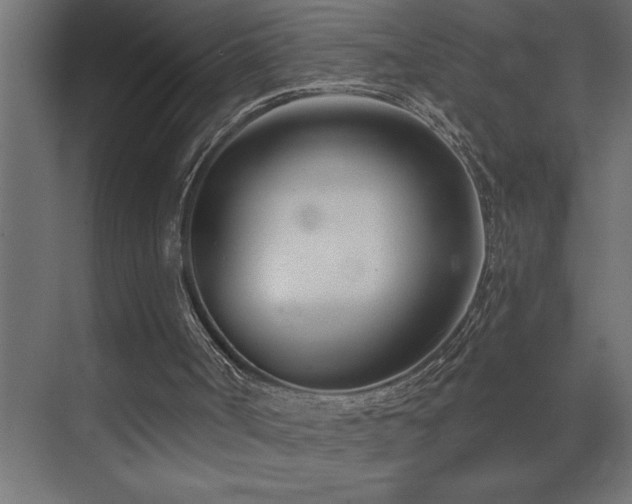 X0000074260002200608251238