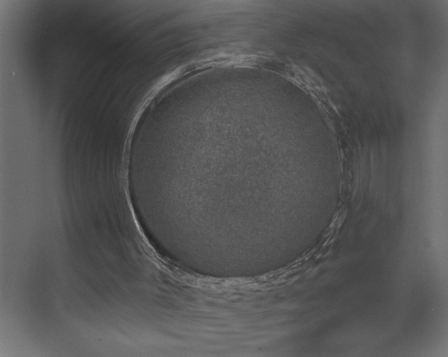 X0000074260003200608251238