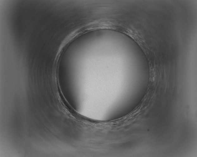 X0000074260004200608251238