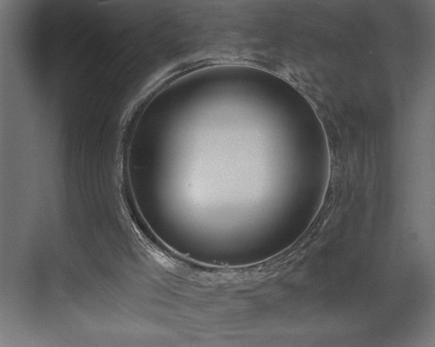 X0000074260005200608251238