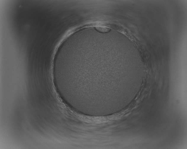 X0000074260006200608251238