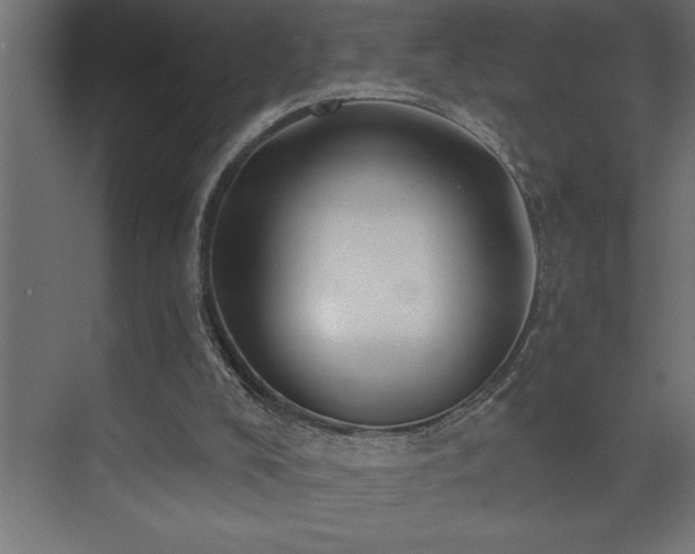 X0000074260008200608251238