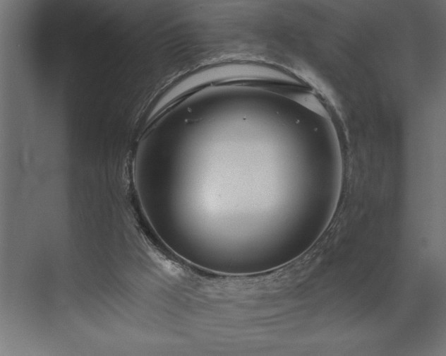 X0000074260009200608251238