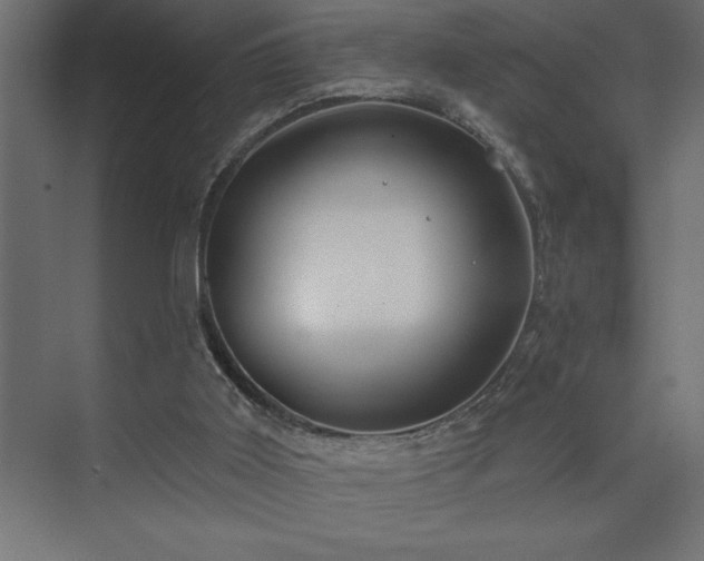 X0000074260011200608251238