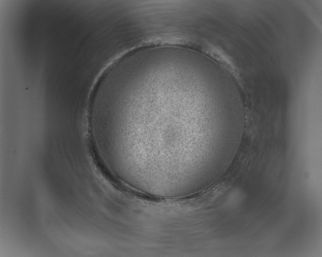 X0000074260012200608251238