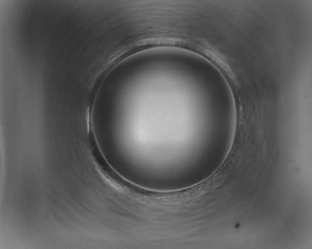 X0000074260013200608251238