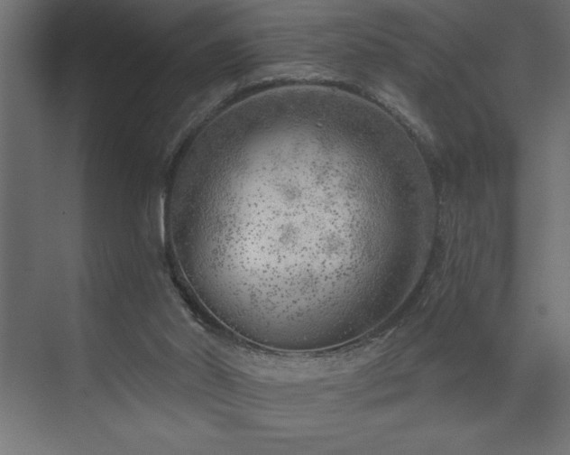 X0000074260014200608251238