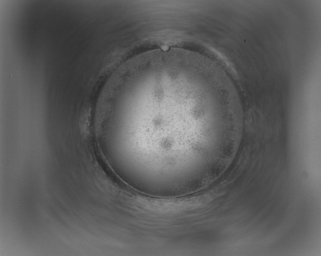 X0000074260018200608251238