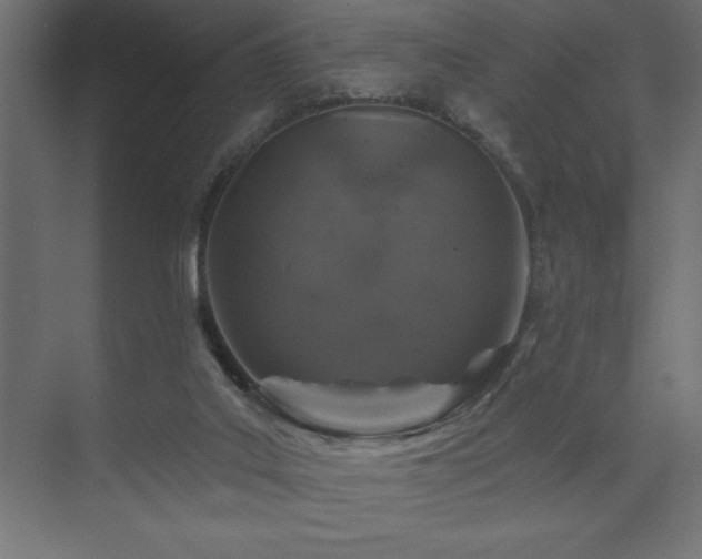 X0000074260019200608251238